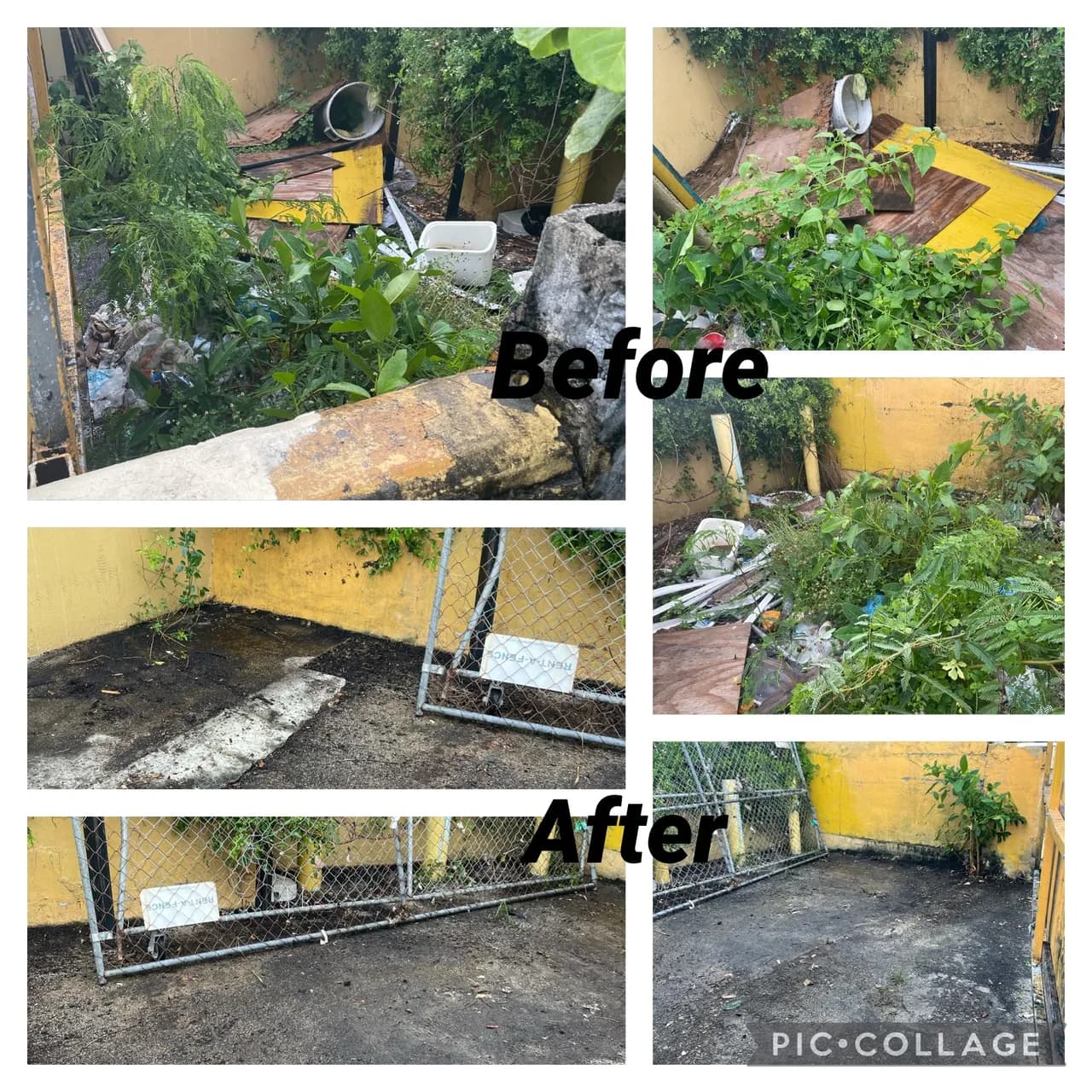 Before and after cleanup example 5